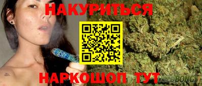 стафф Новокубанск